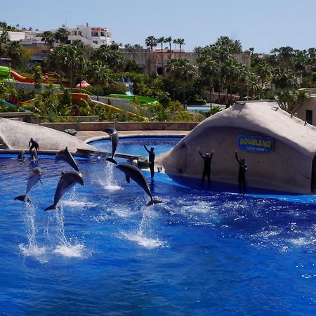 פלאייה דה לאס אמריקס Amazing 3 Bedroom Apartment On The First Line Of The Best Las Americas Beach, Air Conditioner And Terrace Ocean View מראה חיצוני תמונה
